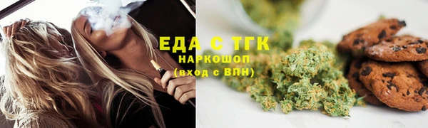гидра Снежногорск