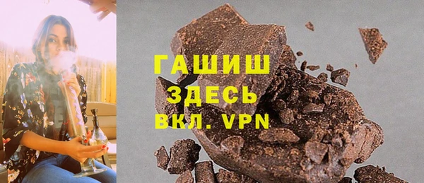 гидра Снежногорск